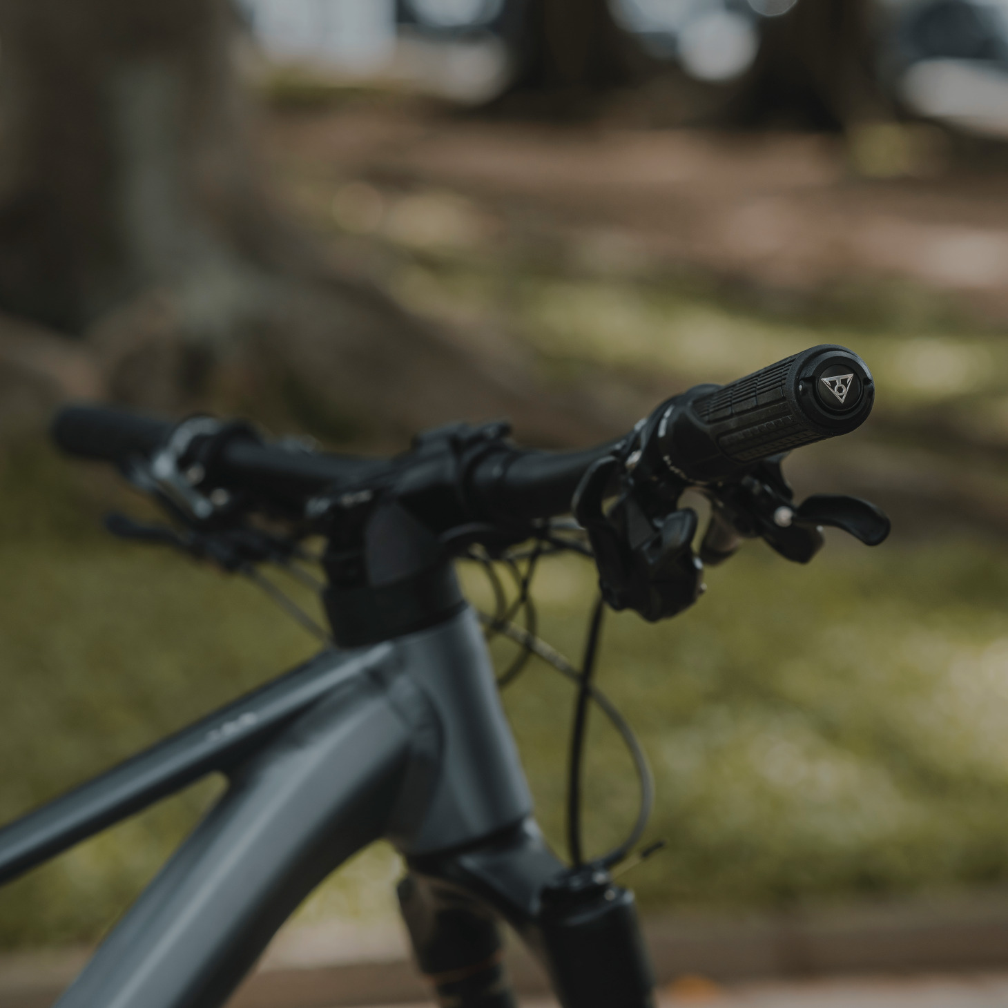 Topeak Plug'n Tool Mountain