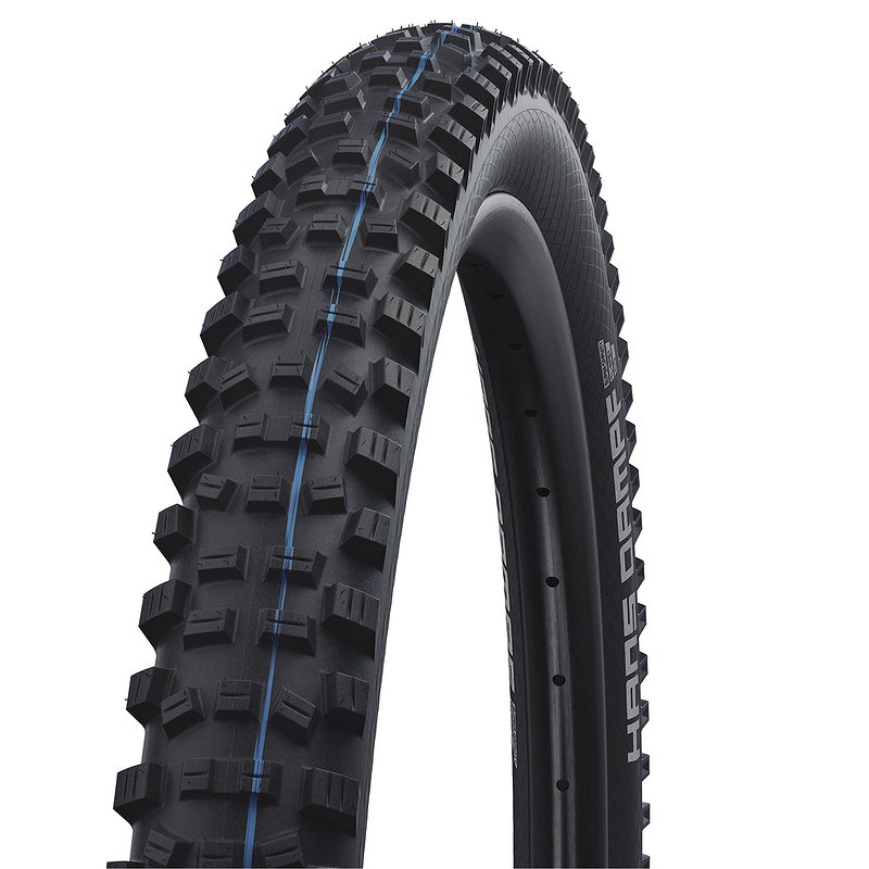 Schwalbe Fahrradreifen Hans Dampf Evo ADDIX HS 491 schwarz Snakeskin 65-622 29x2,60 11601110.01